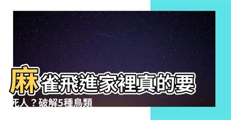 麻雀入屋好不好|【麻雀飛進家裡代表什麼】飛雀臨門，吉兆還是兇兆？麻雀飛進家。